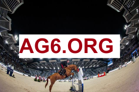 ESPN：施罗德对东契奇场上言语不满，冲突后艾顿及时介入